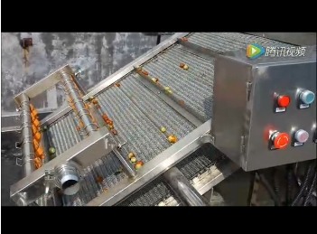 臨安市超越食品大棗清洗拋光風(fēng)干線(xiàn)