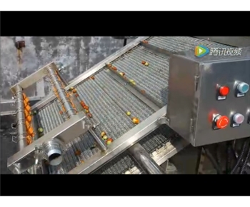 臨安市超越食品大棗清洗拋光風(fēng)干線(xiàn)