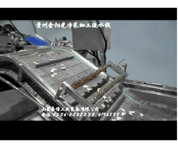 安徽溜味族食品破袋挑選洗袋烘干線(xiàn)