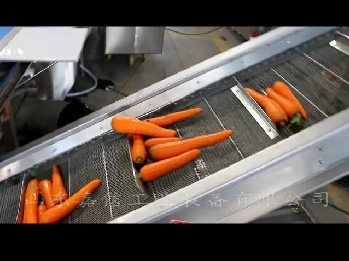 胡蘿卜清洗切片脫水