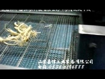 威海環(huán)翠樓人參清洗風(fēng)干線(xiàn)