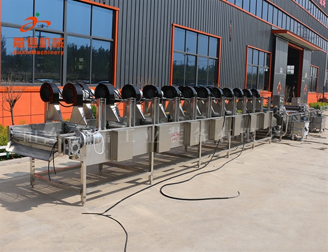 長(cháng)葉菜清洗風(fēng)干流水線(xiàn)