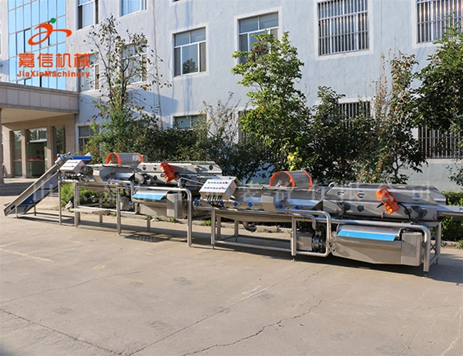 紅棗分級清洗拋光瀝水烘干流水線(xiàn)