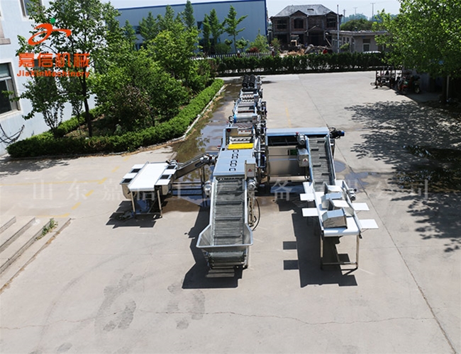 供應生產(chǎn) 生姜清洗烘干流水線(xiàn) 中藥材清洗烘干流水線(xiàn)