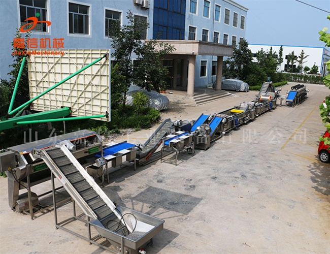 清洗\消毒\風(fēng)干流水線(xiàn)(凈菜\胡蘿卜\土豆\棗類(lèi))