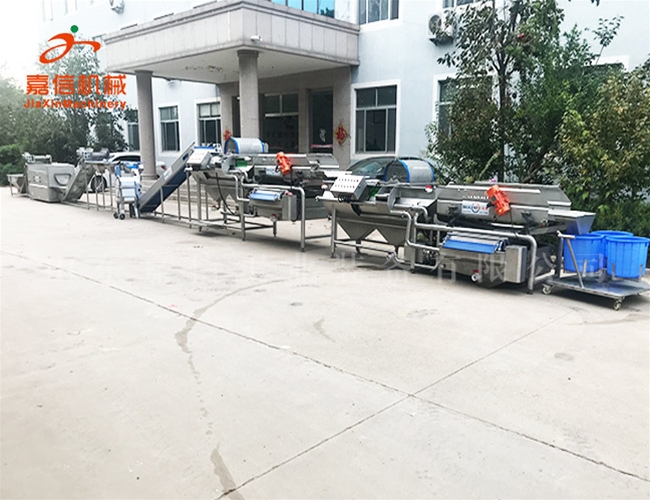 長(cháng)葉菜清洗風(fēng)干流水線(xiàn)